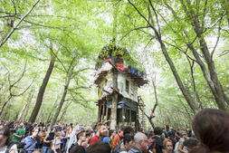  The Hambach forest in Germany is 12,000 years old. Less than a tenth of it...