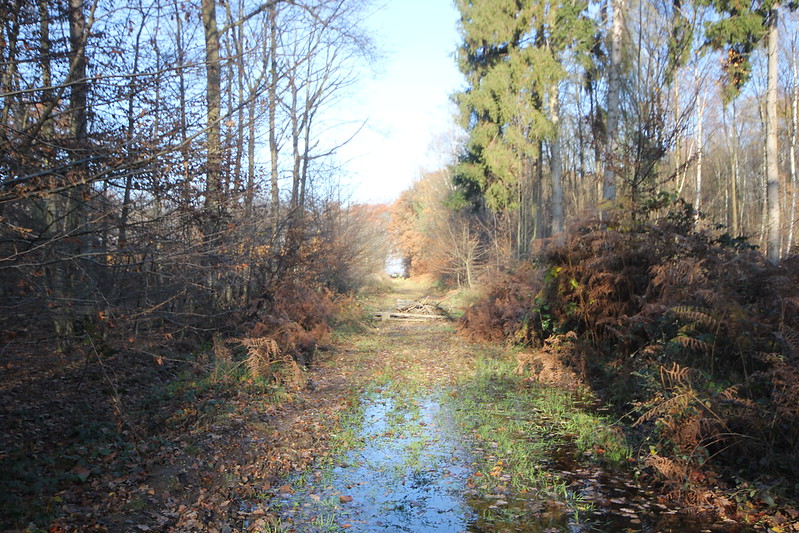 les-hambach-nemecko-tezba-uhli