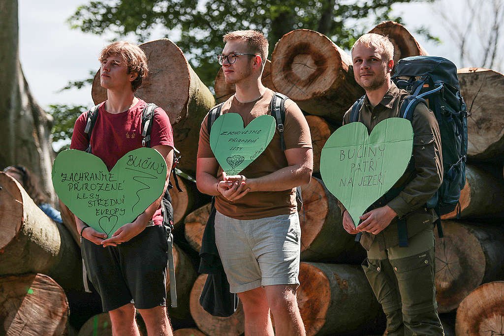 Protest za záchranu bučin u Horního Jiřetína