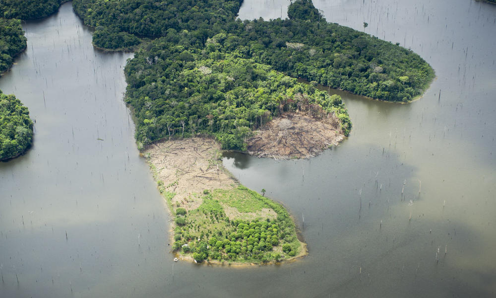 Amazonsky-prales-Richard-Lisboa-worldwildlife.org