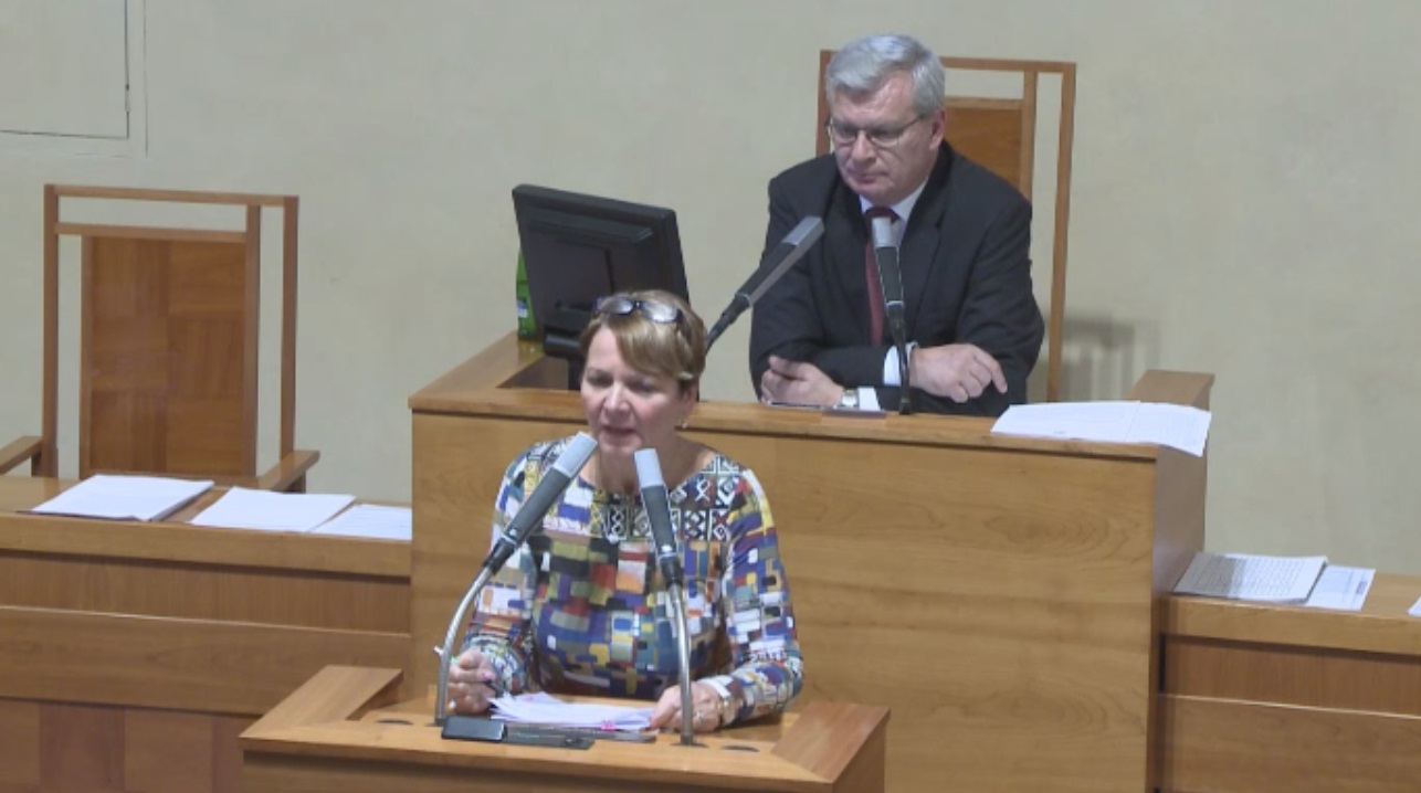 11.10.2017-senát-slyšení-litium-zdenka-hamousova