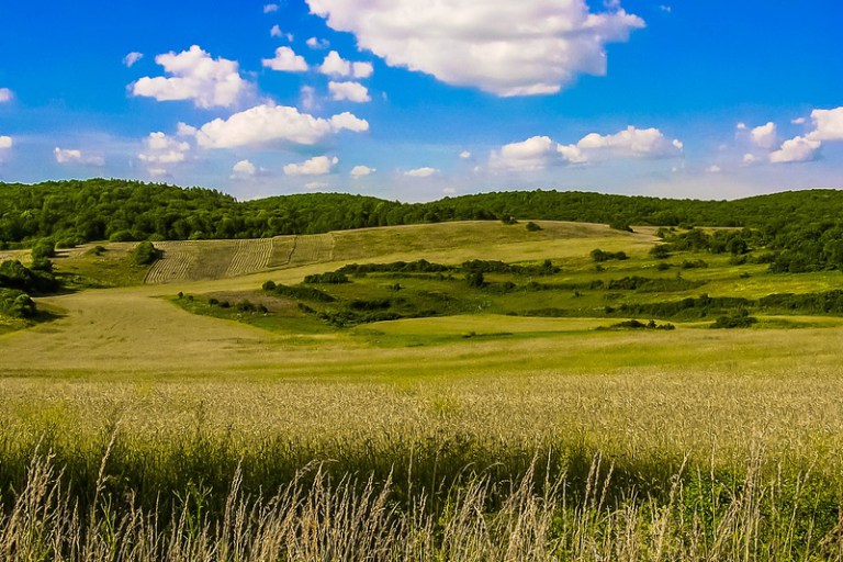 Na juhu stredného Slovenska sa naskytla možnosť vybudovať najväčší projekt postavený na princípoch ekologického poľnohospodárstva a permakultúry na Slovensku a zrejme aj v jeho širokom okolí.