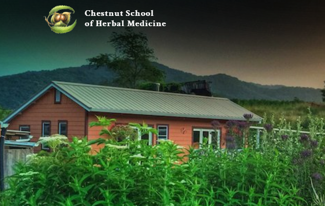 chestnut-school-of-herbal-medicine