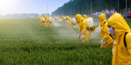 People in protective clothing are spraying on a field of Roundup containing glyphosate and other chemicals. (Avaaz.org)